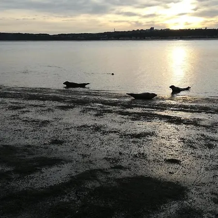 L'estivaliere Face A La